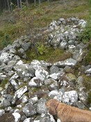 NH77NW0020CP03 - Scotsburn Wood East Cairn possibly.JPG