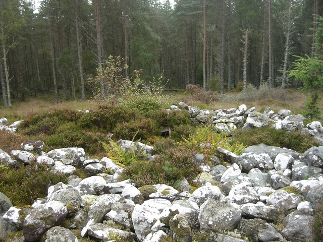 NH77NW0020CP04 - Scotsburn Wood East Cairn possibly.JPG