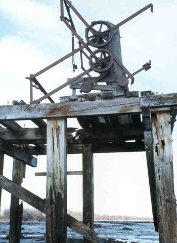 NH77SE0071 b.jpg