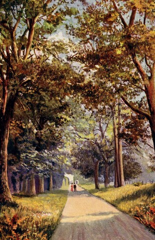 NH78NW0093 - Skibo Castle Avenue 1909.JPG