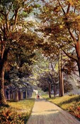 NH78NW0093 - Skibo Castle Avenue 1909.JPG