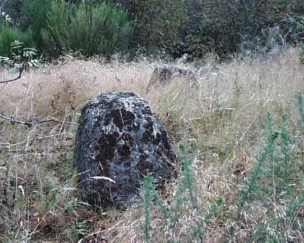 NH78SW0001 - Edderton cairn circle.jpg
