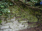 NH79NE0005 - 13.JPG