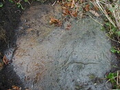NH79NE0005 - 2.JPG