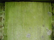 NH79NE0005 - 25.JPG