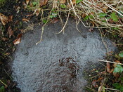 NH79NE0005 - 5.JPG