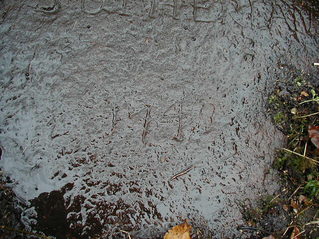 NH79NE0005 - 6.JPG