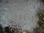 NH79NE0005 - 6.JPG