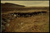 Edge of Robbed Area of Chambered Cairn.jpg