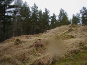 NH79SE0004 - view of ditch.jpg
