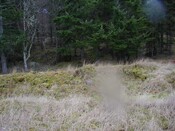 NH79SE0004 - view of top.jpg