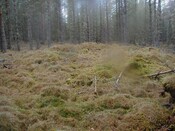 NH79SE0011 - from SE.jpg
