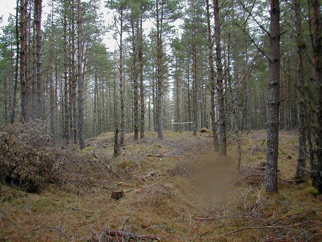 NH79SE0011 from path.jpg