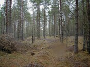 NH79SE0011 from path.jpg