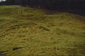 NH80NE0044 - Possible Dun, or settlement and enclosure, The Drum.jpg