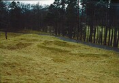 NH80NE0044 - Possible Dun, The Drum.jpg