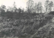 NH81SE0068c.jpg