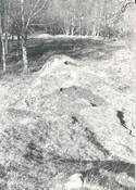 NH81SE0068d.jpg