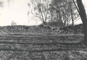 NH81SE0068e.jpg