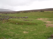 NH82NW0026 - Soilsean horse gin 2.JPG