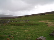 NH82NW0026 - Soilsean Tomatin horse gin.JPG
