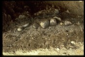 NH84NW0020 - Ditch Section, Holme Rose, Easter Galcantray 4.jpg