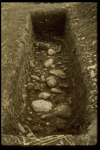 NH84NW0020 - Edge of Roadway, Holme Rose, Easter Galcantray.jpg