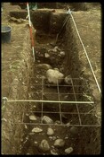 NH84NW0020 - Post Holes of Gate House, Holme Rose, Easter Galcantray.jpg