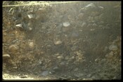 NH84NW0020 - Roman Fort, Holme Rose, Easter Galcantray 2.jpg