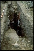 NH84NW0020 - T1, .85, Holme Rose, Easter Galcantray 1.jpg