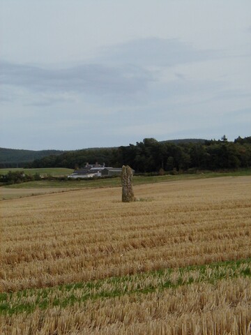 NH85SE0008.jpg