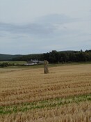 NH85SE0008.jpg