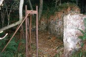 NH86NW0025 a.jpg
