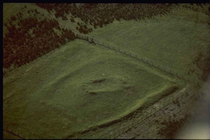 NH87NE0006 - Aerial View, Chapel, Hilton of Cadboll.jpg