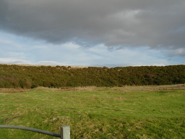NH87NE0006HAW1.JPG