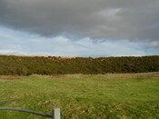 NH87NE0006HAW1.JPG