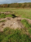 NH87NE0006HAW3.JPG