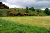 NH87SW0006 by Keith Hart 4.jpg