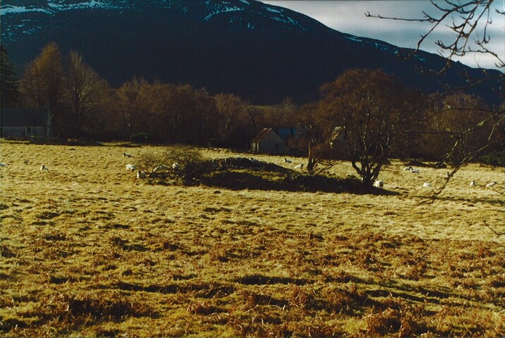 NH91NE0001 - Tulloch Chapel.jpg