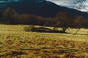 NH91NE0001 - Tulloch Chapel.jpg