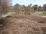 nh91nw0002 site B.jpg