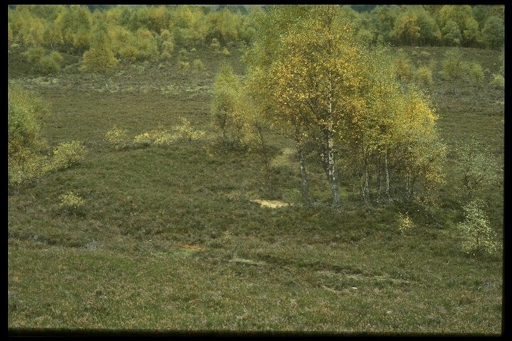 NH91SW0010 - Hut Circle, Knockgranish.jpg