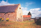 NH91SW0091a.jpg