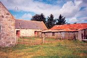 NH91SW0091b.jpg