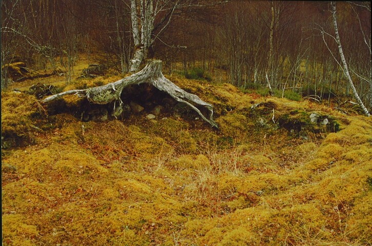 NH92SE0005 - Cairn, Cist, Auchendean.jpg
