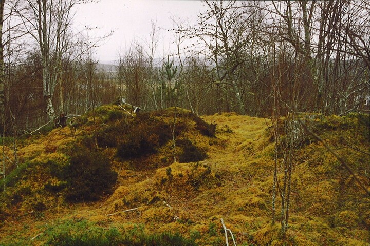 NH92SE0005 - Cairn, Cist, Auchendean02.jpg