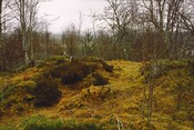 NH92SE0005 - Cairn, Cist, Auchendean02.jpg