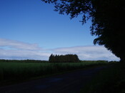 NH95SW0072HAW1.JPG