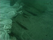 NM48SE0045 a.jpg