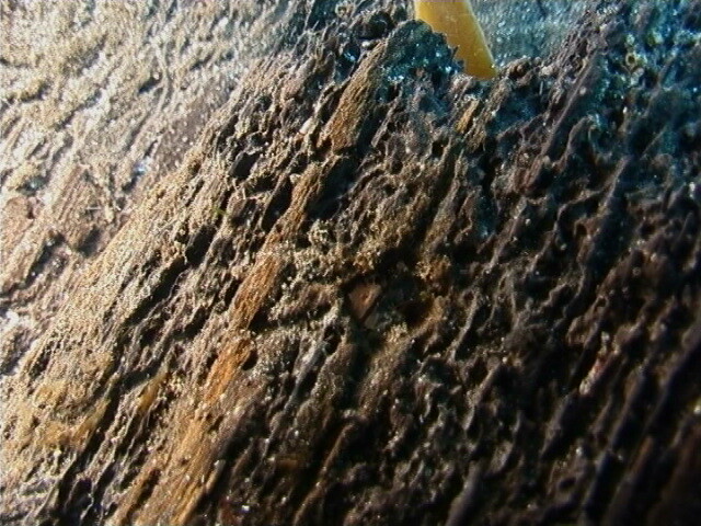 NM48SE0045 d.jpg